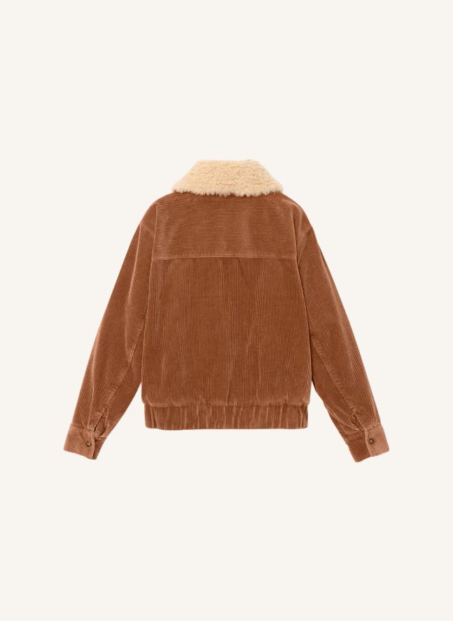 Veste Bradley Coton | Camel