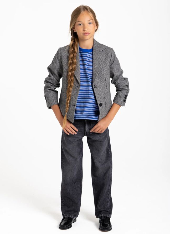 Jean Gina | Denim gris