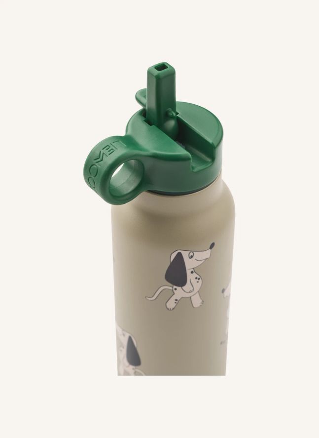 Gourde Falk - 350 ml | Dakota Dog/Mist