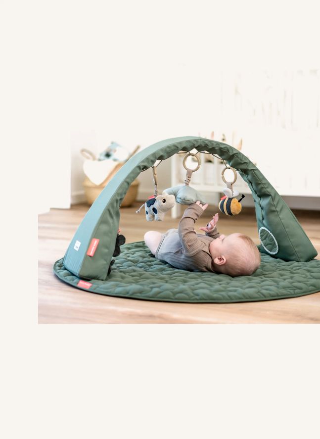 Arco de actividades de Tiny Farm | Verde