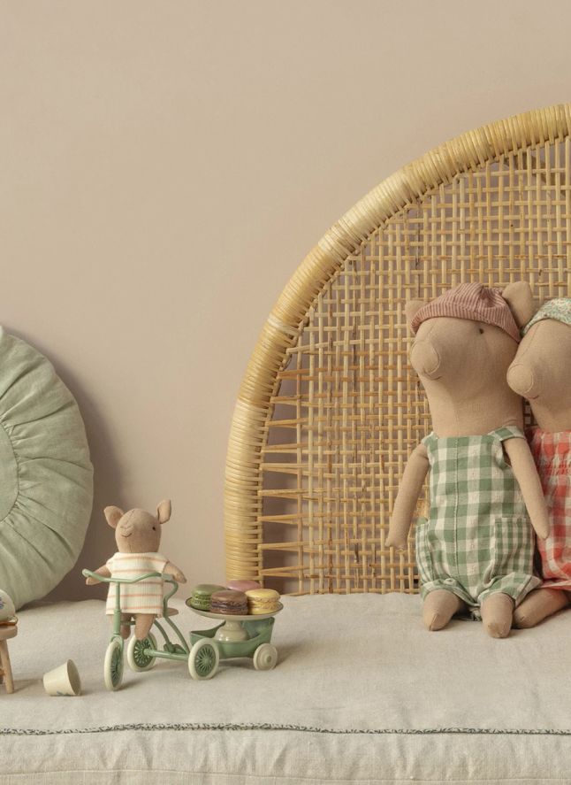 Bébé cochon dans sa caissette - Fille