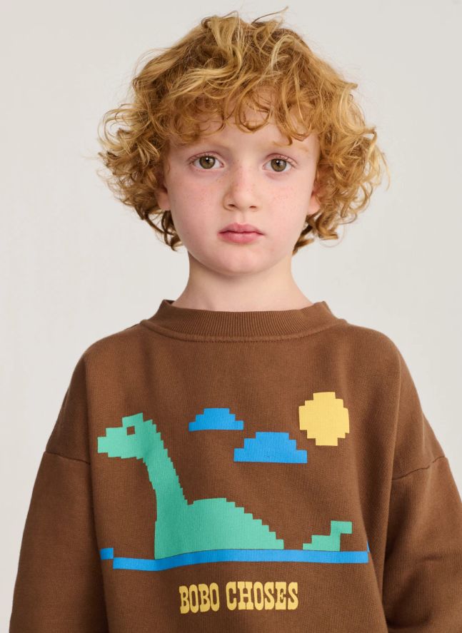 Sweat Lac Coton Bio | Marron