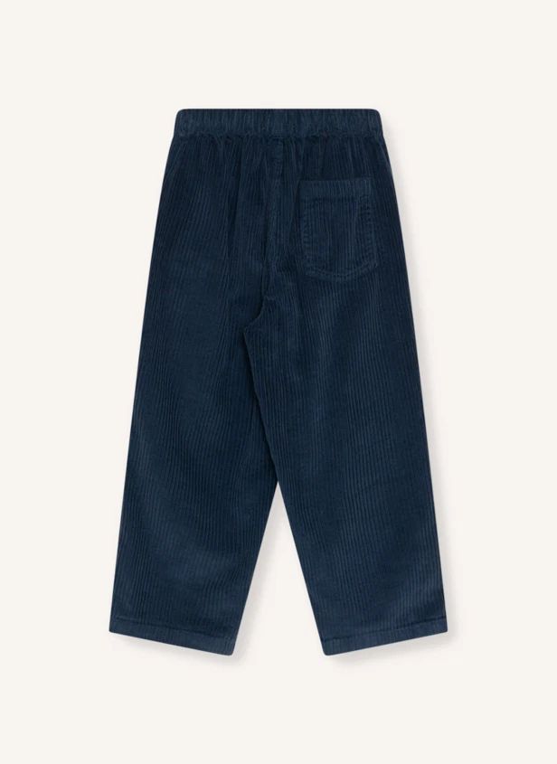 Pantalon Elio Velours | Bleu nuit