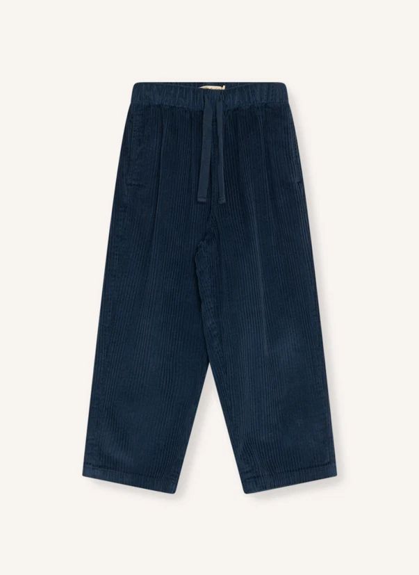 Pantalon Elio Velours | Bleu nuit