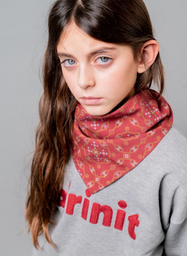 Sweat Birinit Coton Bio | Gris