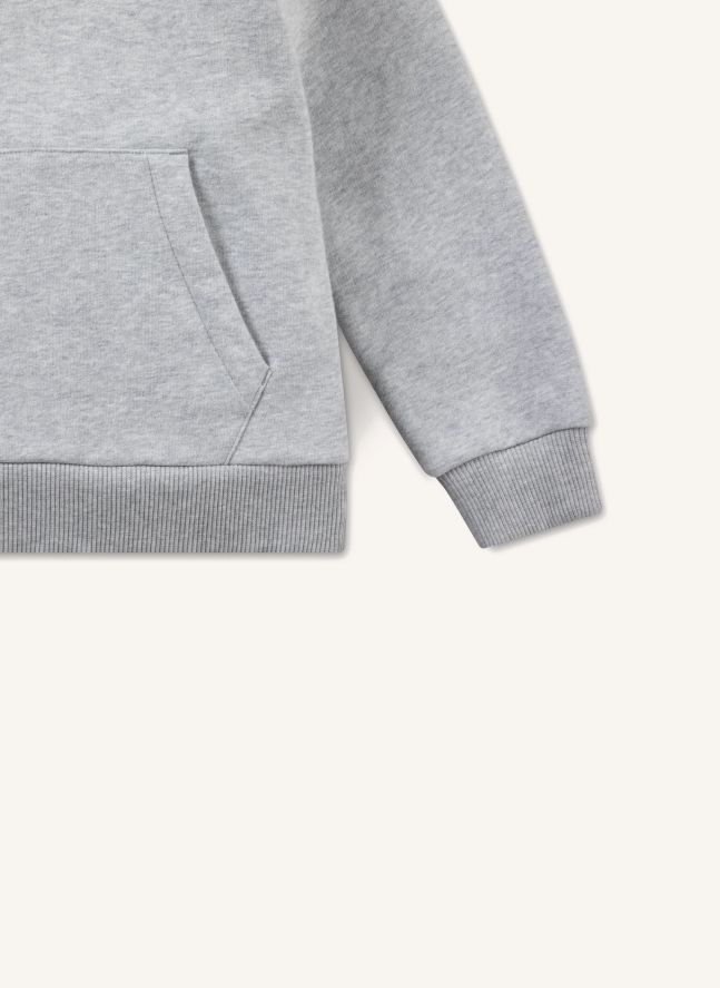 Sweat à Capuche Logo | Gris