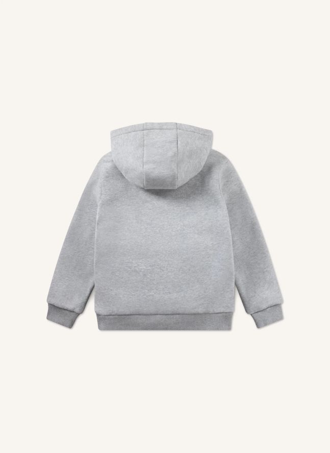 Sweat à Capuche Logo | Gris