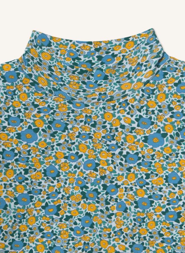 Col Roulé Côtelé Rayé Coton Bio | Bleu
