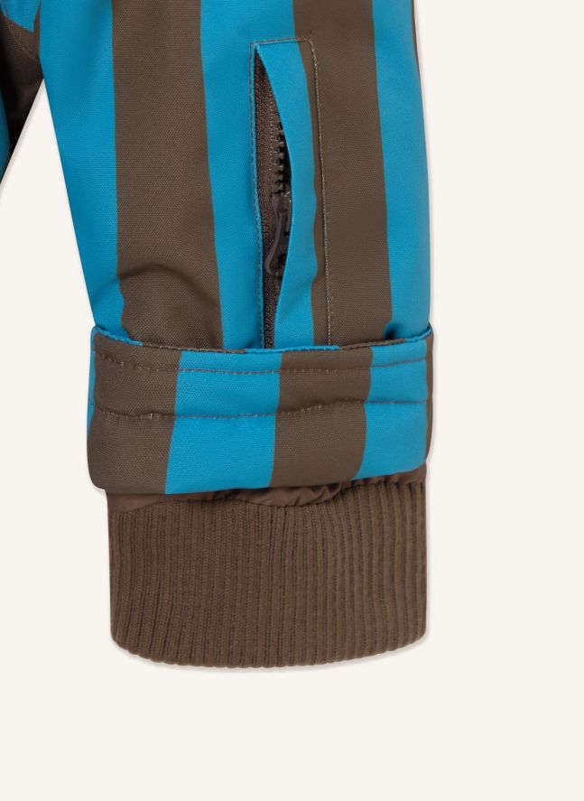Veste de Ski Rayée | Bleu