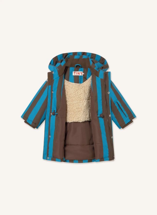Veste de Ski Rayée | Bleu