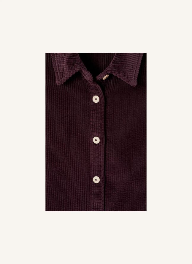Chemise Padow Coton | Aubergine