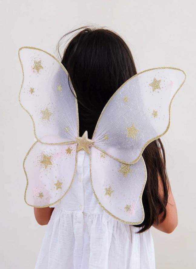 Ailes de Fée Starry Night | Rose