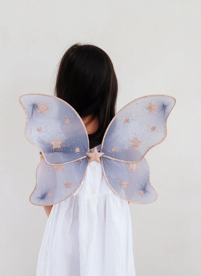 Ailes de Fée Starry Night | Gris