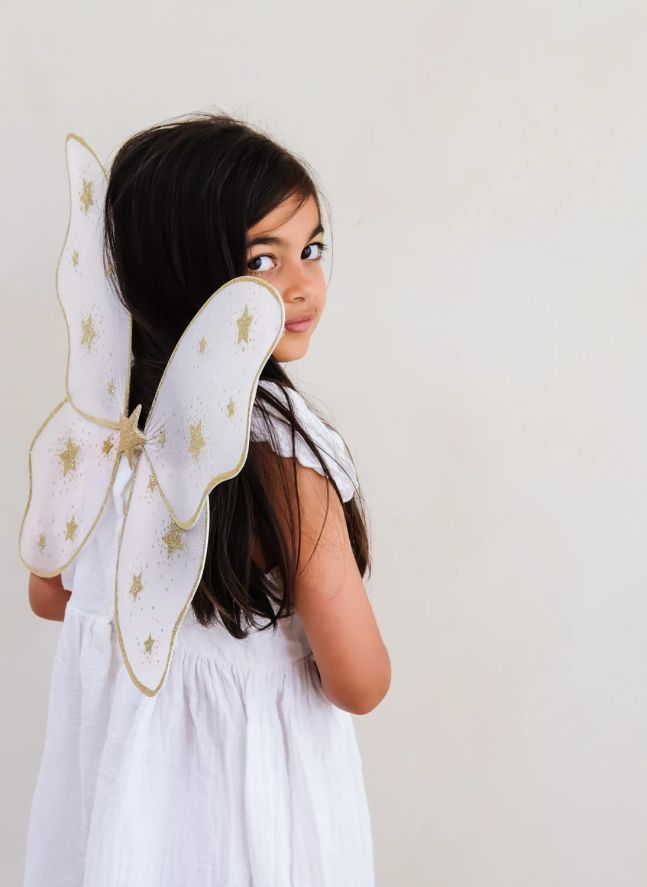 Ailes de Fée Starry Night | Rose