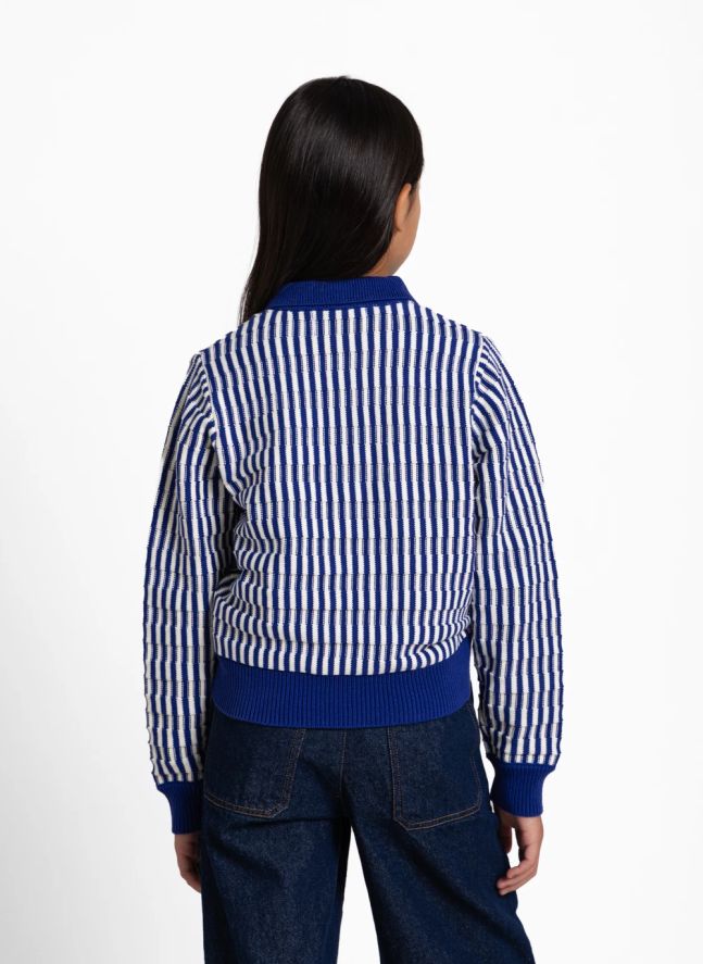 Pull Col Polo Zia Rayé | Bleu électrique