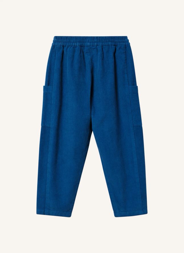 Pantalon Koala Velours Côtelé | Bleu