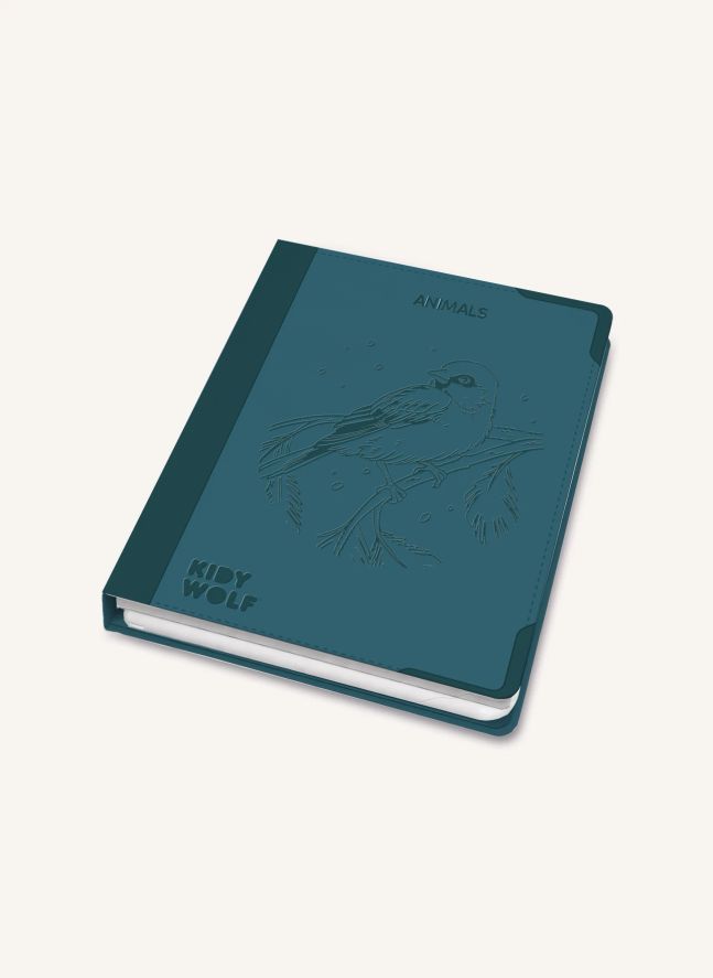 Tablette à décalquer Kidydraw Pad 8+