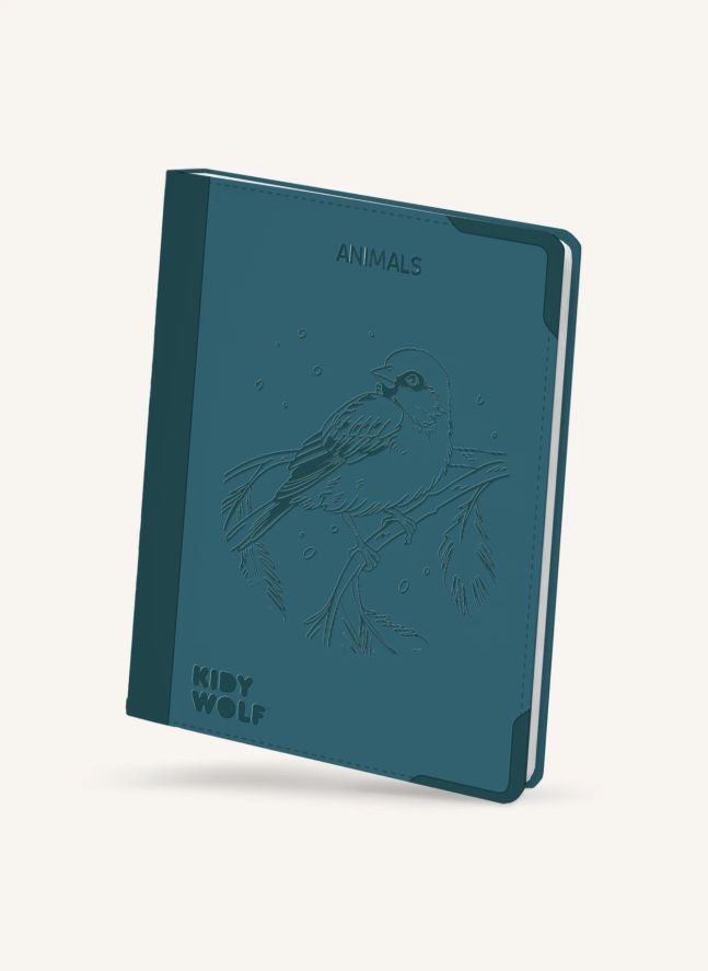 Tablette à décalquer Kidydraw Pad 8+