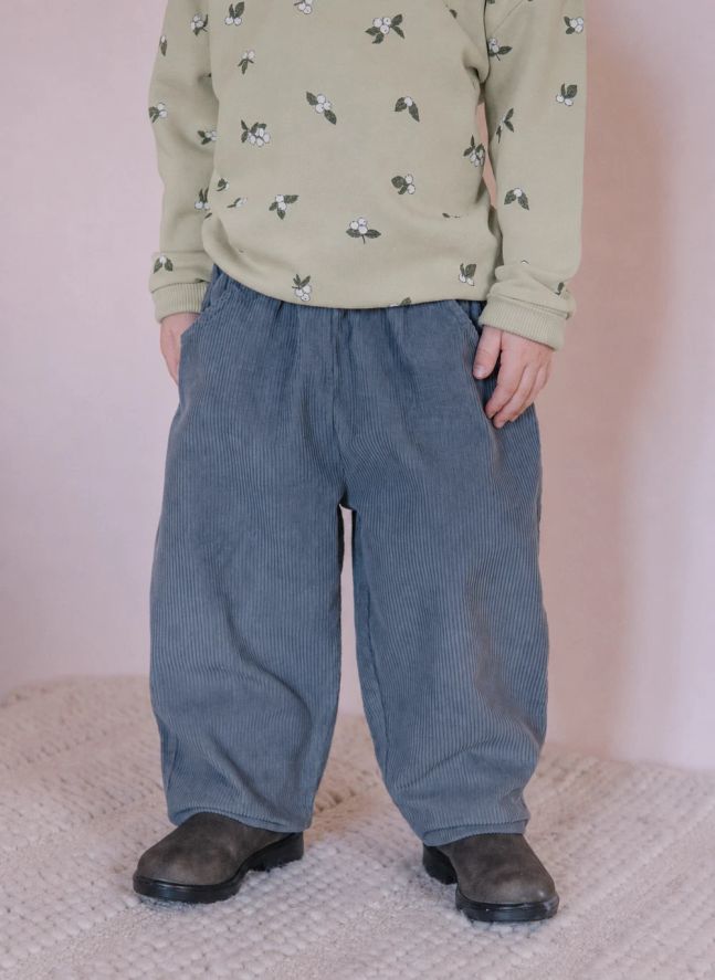 Pantalon Carrott Velours Côtelé Coton Bio | Bleu gris