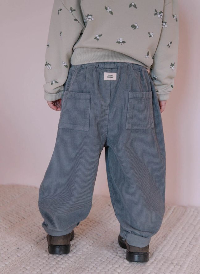 Pantalon Carrott Velours Côtelé Coton Bio | Bleu gris