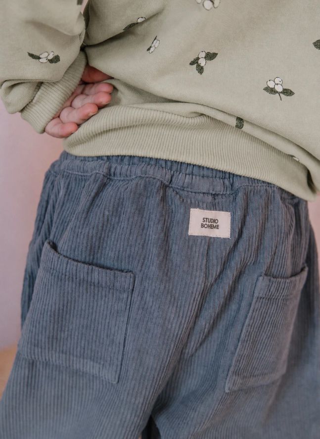 Pantalon Carrott Velours Côtelé Coton Bio | Bleu gris