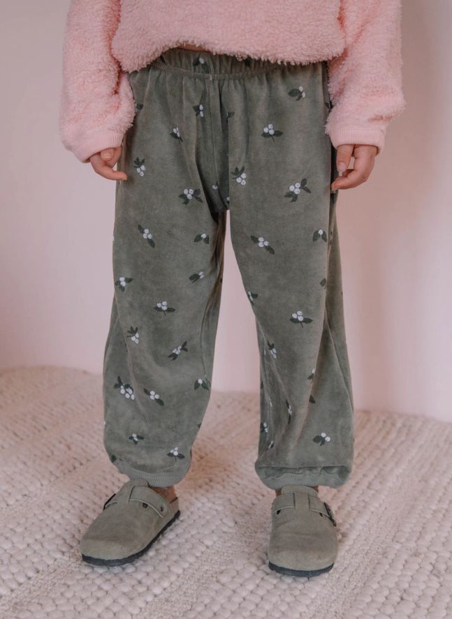 Pantalon Porgy Gui Velours Coton Bio