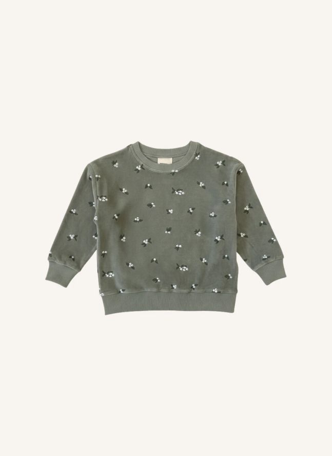 Sweat Bart Gui Velours Coton Bio | Kaki