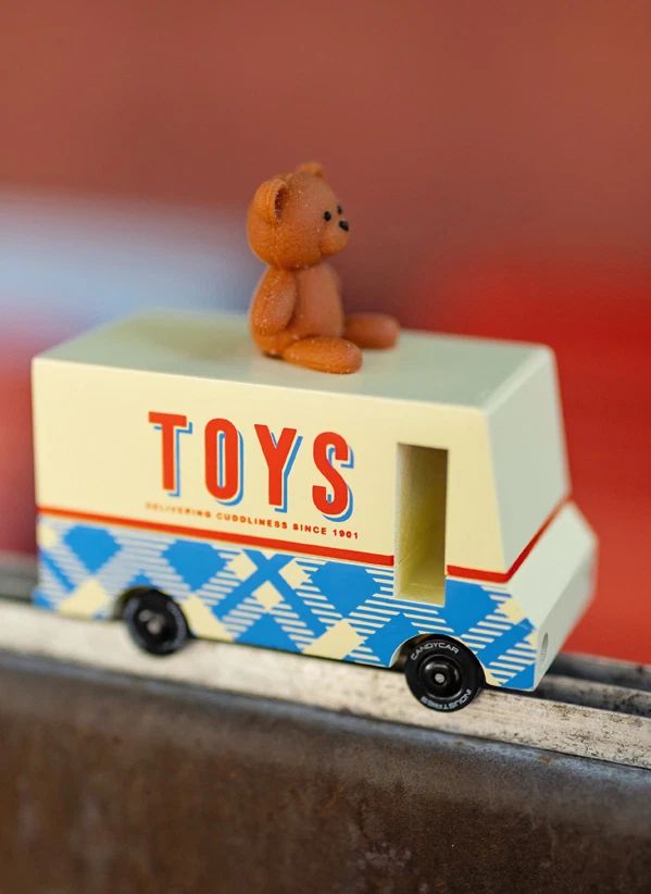 Vans - Teddy Van