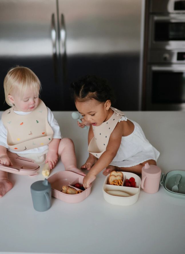 Lunchbox | Blush