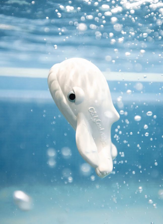 Jouet pour le bain Walter la baleine
