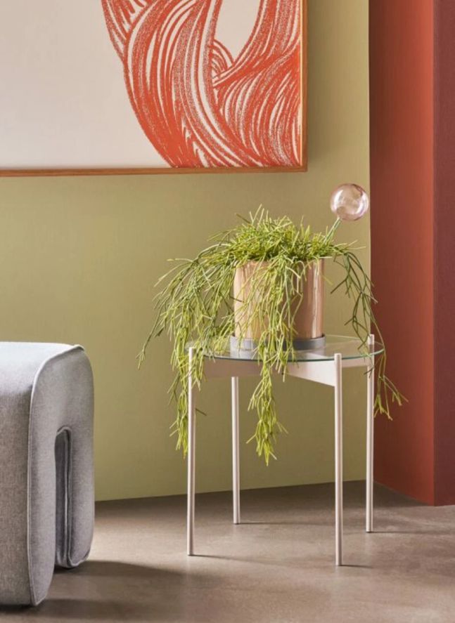 Globe d'arrosage en verre Flora  | Rose