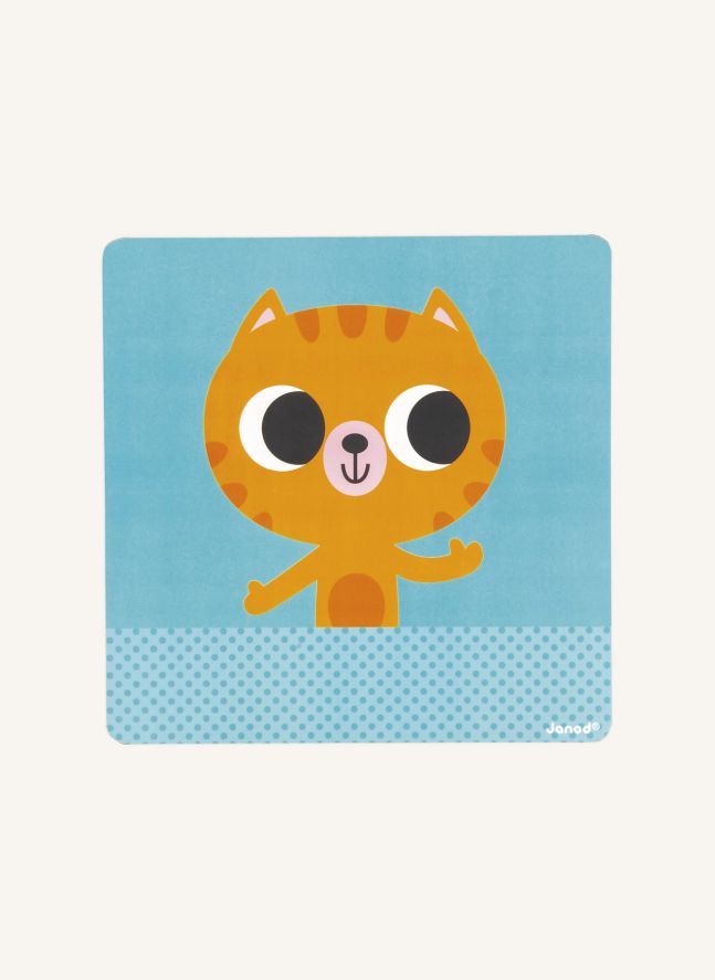Le petit chat des rituels