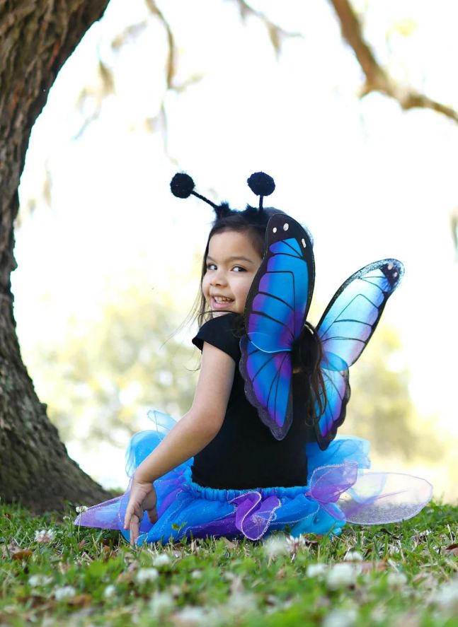 Jupe de papillon avec ses ailes et sa baquette | Bleu
