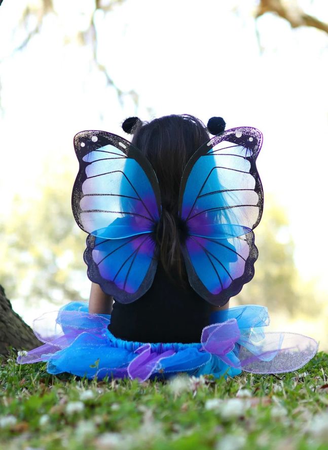 Jupe de papillon avec ses ailes et sa baquette | Bleu