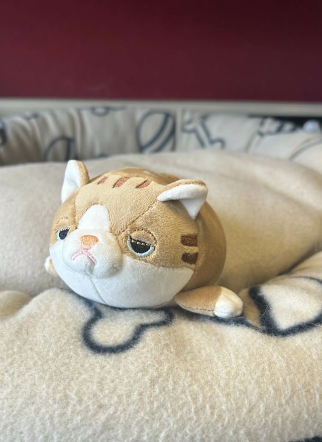 Mugi the Cat plush | Camel