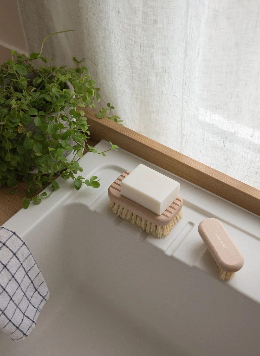 Brosse porte savon- Image produit n°1