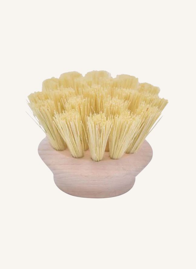 Tête brosse medium pour Manche Super vaisselle