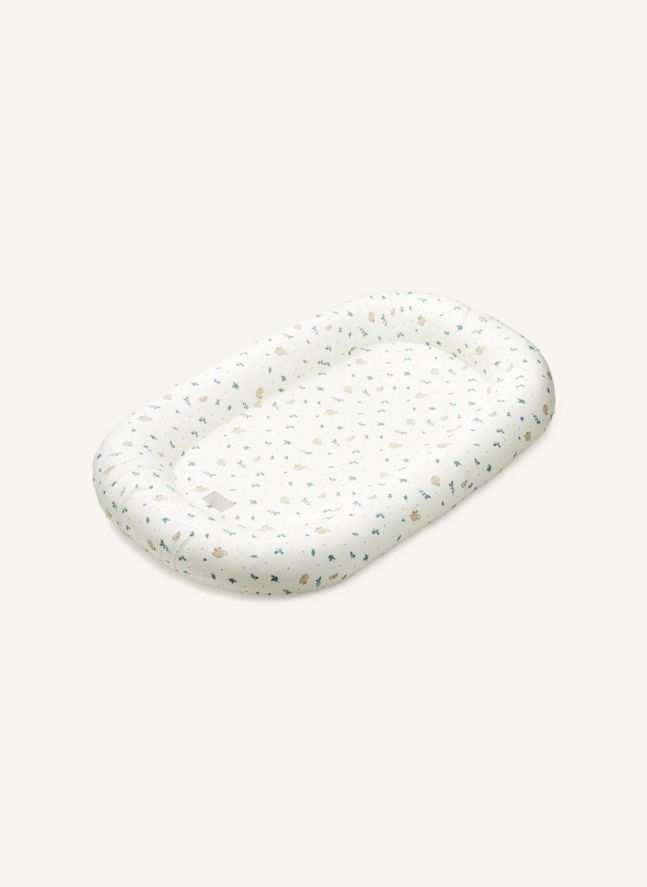 Cale bébé Blueberries