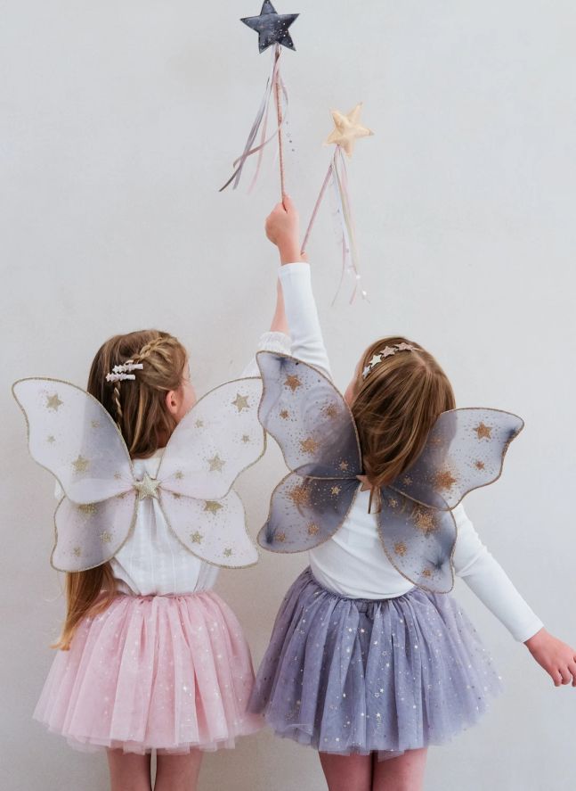 Ailes de Fée Starry Night | Rose