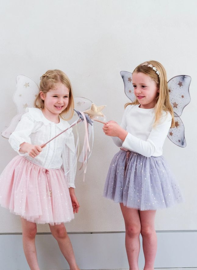 Ailes de Fée Starry Night | Gris
