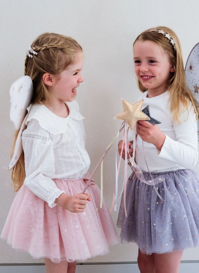 Ailes de Fée Starry Night | Rose