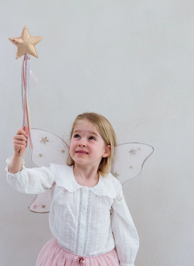 Ailes de Fée Starry Night | Rose