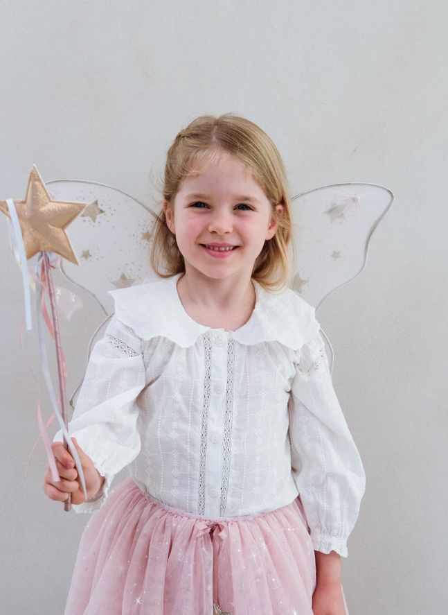 Ailes de Fée Starry Night | Rose