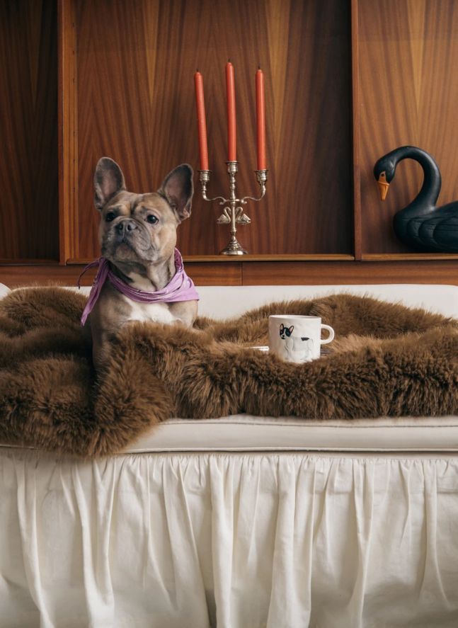 Mug Bouledogue