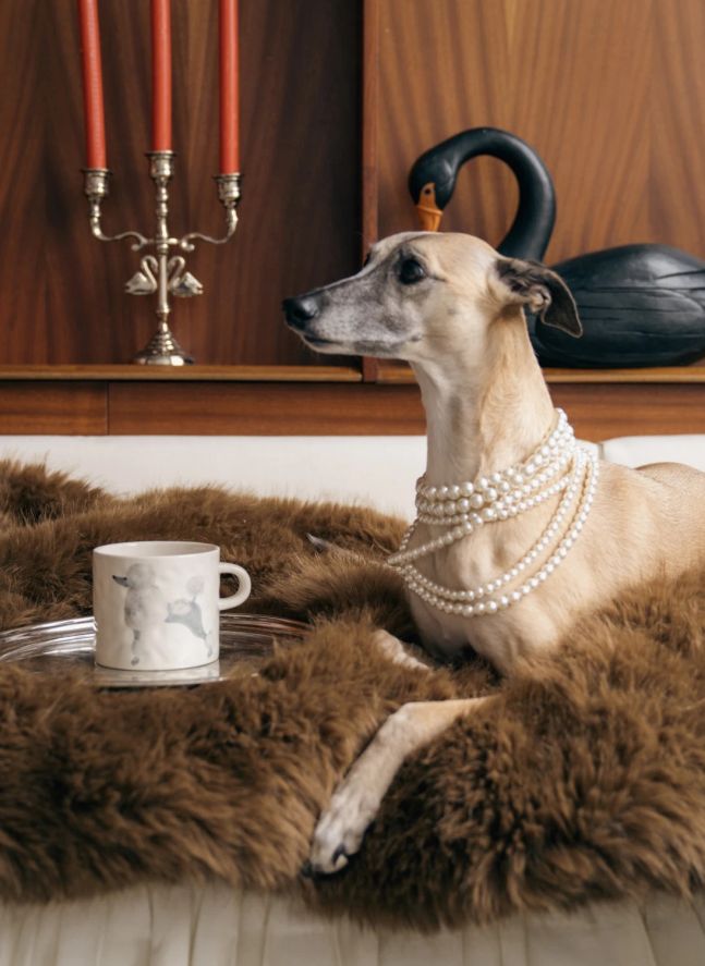 Poodle mug
