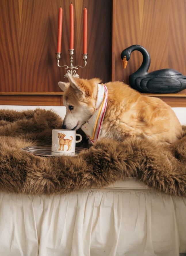 Labradoodle mug