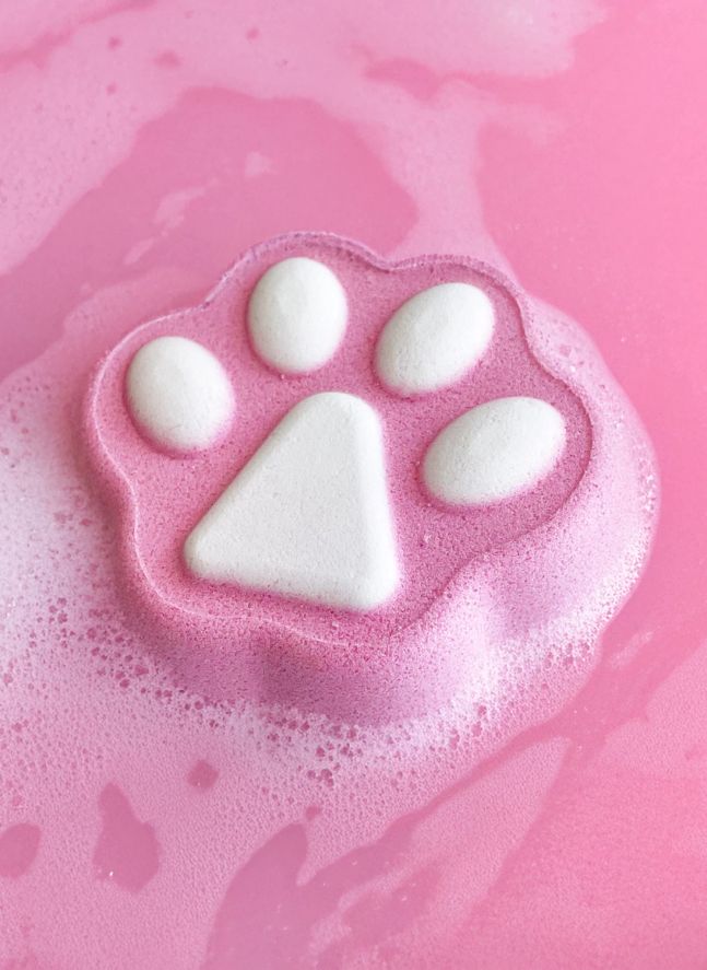 Coffret Bombes de bain Fizzers Cat's