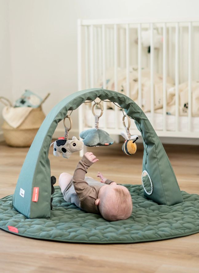 Arco de actividades de Tiny Farm | Verde