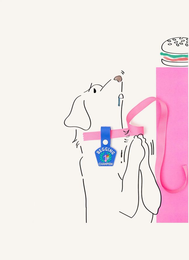 Médaille Begging Champion | Bleu