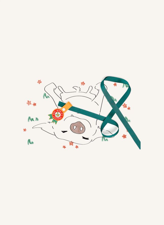 Médaille World's Okayest Dog | Rouge